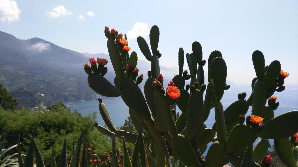 Albergo Suisse Bellevue Monterosso al Mare Bagian luar foto