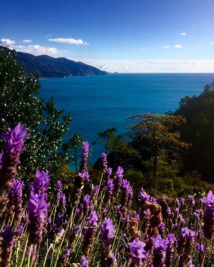 Albergo Suisse Bellevue Monterosso al Mare Bagian luar foto